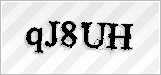 CAPTCHA security code