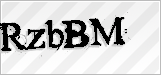 CAPTCHA security code