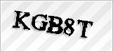 CAPTCHA security code
