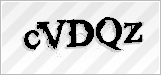 CAPTCHA security code