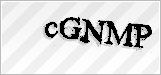 CAPTCHA security code