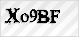 CAPTCHA security code
