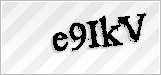 CAPTCHA security code
