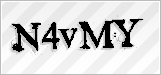 CAPTCHA security code