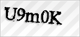 CAPTCHA security code