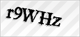 CAPTCHA security code
