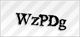 CAPTCHA security code