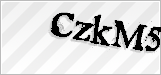 CAPTCHA security code