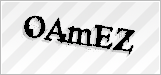 CAPTCHA security code