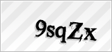 CAPTCHA security code
