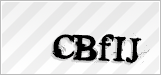 CAPTCHA security code