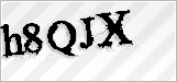 CAPTCHA security code