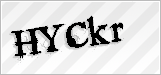 CAPTCHA security code