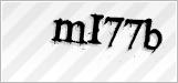 CAPTCHA security code