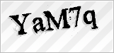 CAPTCHA security code