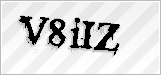 CAPTCHA security code