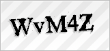 CAPTCHA security code
