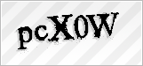 CAPTCHA security code