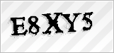 CAPTCHA security code