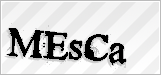 CAPTCHA security code