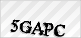 CAPTCHA security code