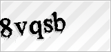 CAPTCHA security code
