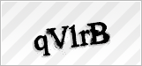 CAPTCHA security code