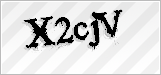 CAPTCHA security code