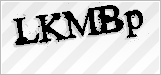 CAPTCHA security code