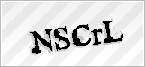 CAPTCHA security code