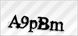 CAPTCHA security code
