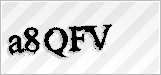 CAPTCHA security code