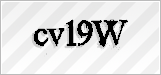 CAPTCHA security code