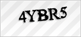 CAPTCHA security code