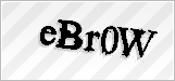 CAPTCHA security code