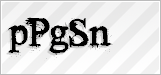 CAPTCHA security code