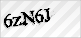 CAPTCHA security code