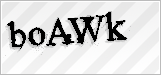 CAPTCHA security code