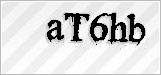 CAPTCHA security code
