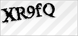 CAPTCHA security code