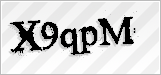 CAPTCHA security code