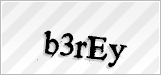 CAPTCHA security code