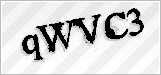 CAPTCHA security code