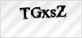 CAPTCHA security code