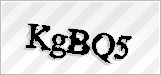 CAPTCHA security code