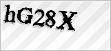 CAPTCHA security code