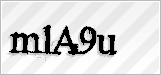CAPTCHA security code