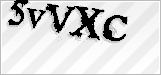 CAPTCHA security code
