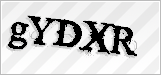 CAPTCHA security code