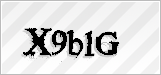 CAPTCHA security code
